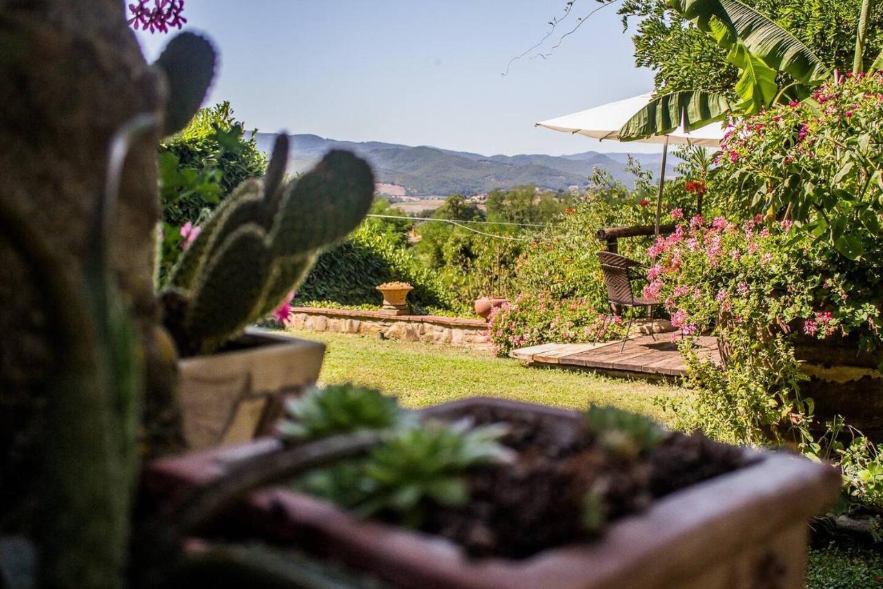 Tuscan Hills Near Florence - Stone House Vicchio Ngoại thất bức ảnh