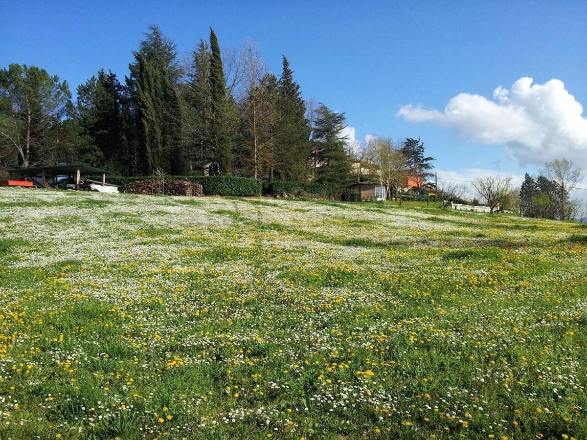 Tuscan Hills Near Florence - Stone House Vicchio Ngoại thất bức ảnh
