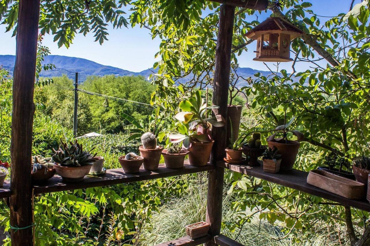 Tuscan Hills Near Florence - Stone House Vicchio Ngoại thất bức ảnh