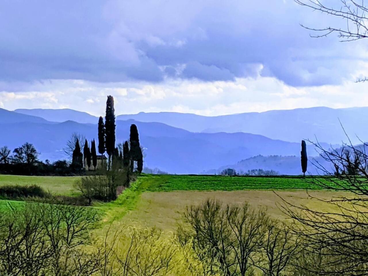 Tuscan Hills Near Florence - Stone House Vicchio Ngoại thất bức ảnh